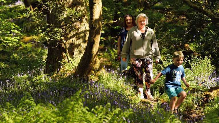 Two women and a child walking in woodland at Hardcastle Crags, West Yorkshire